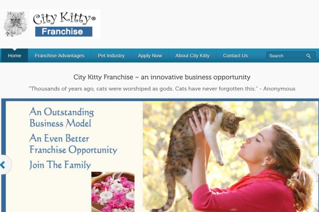 City Kitty Franchise